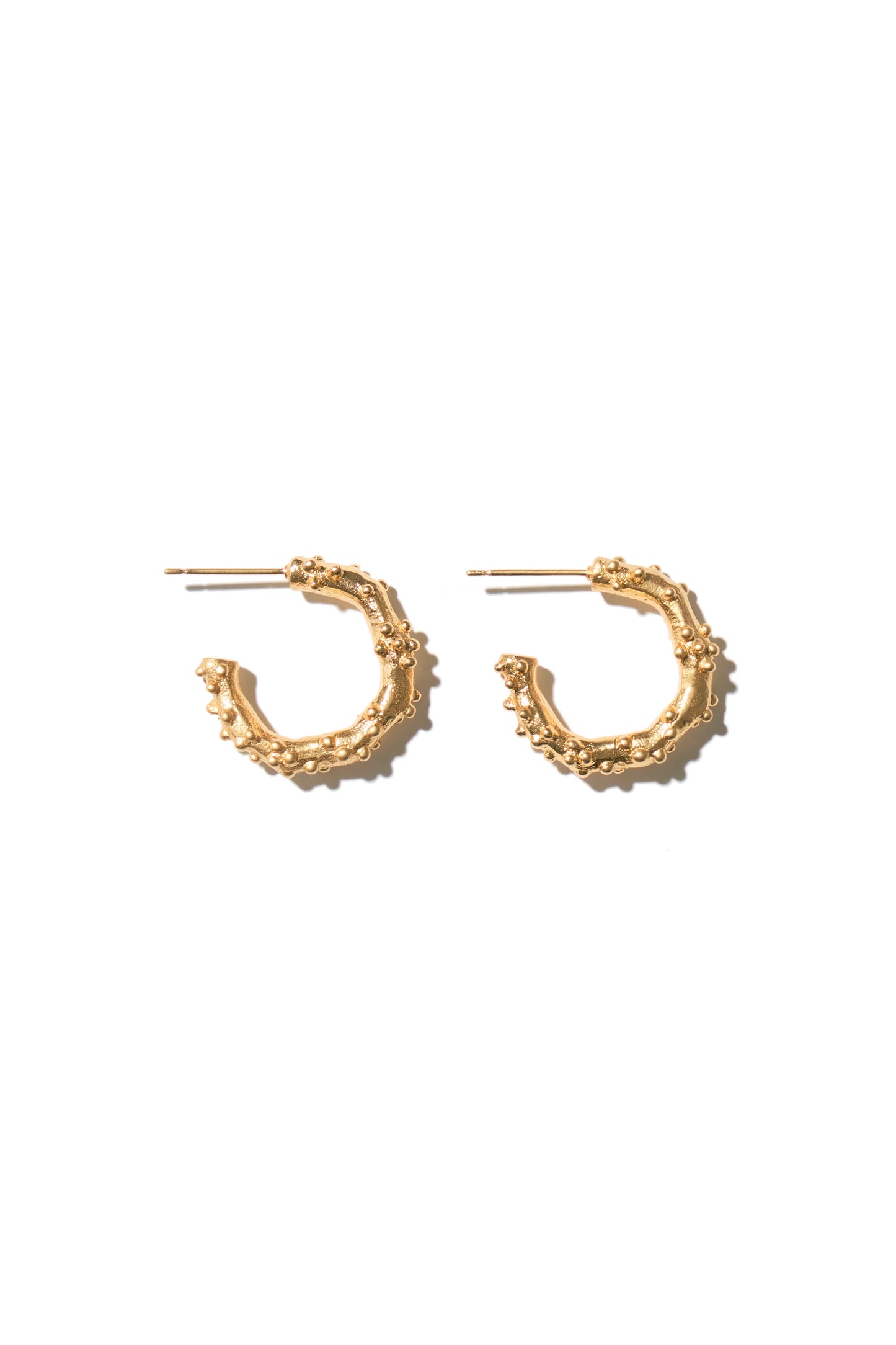 Leo double earrings