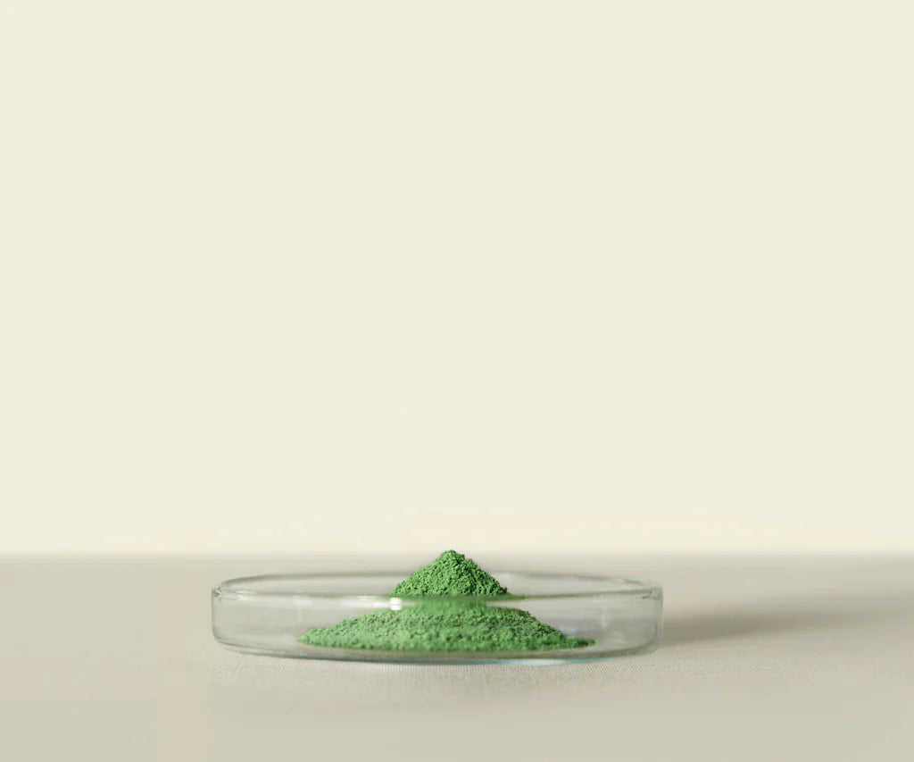 Meiko™ Ceremonial Matcha
