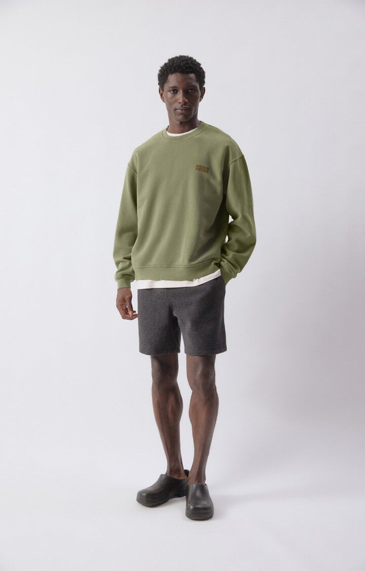 Herensweater Plizzy