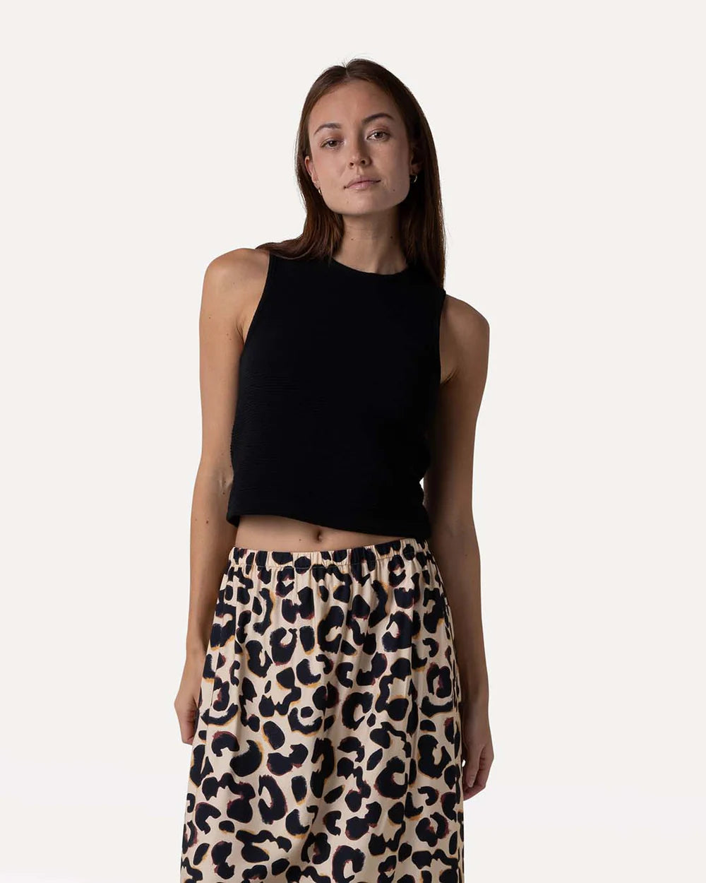 Abelia top